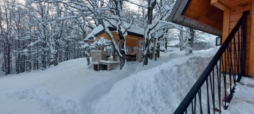 Vila Sun Forest Zabljak  Exterior photo